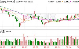 日久光电：2025年度业绩预告