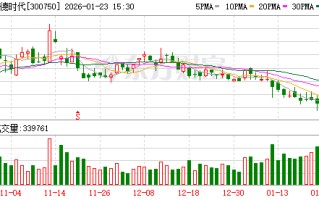 宁德时代发布轻商系列解决方案 深耕商用车领域