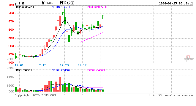 铂、钯期价双双大涨，靠什么因素驱动？  第2张